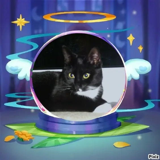 Andachtsbild von Tanja mit Timmy im Herzen 