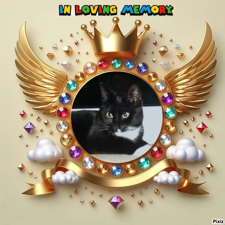 Andachtsbild von Tanja mit Timmy im Herzen 