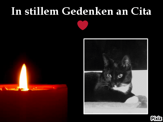 Andachtsbild von Tanja mit Timmy im Herzen 