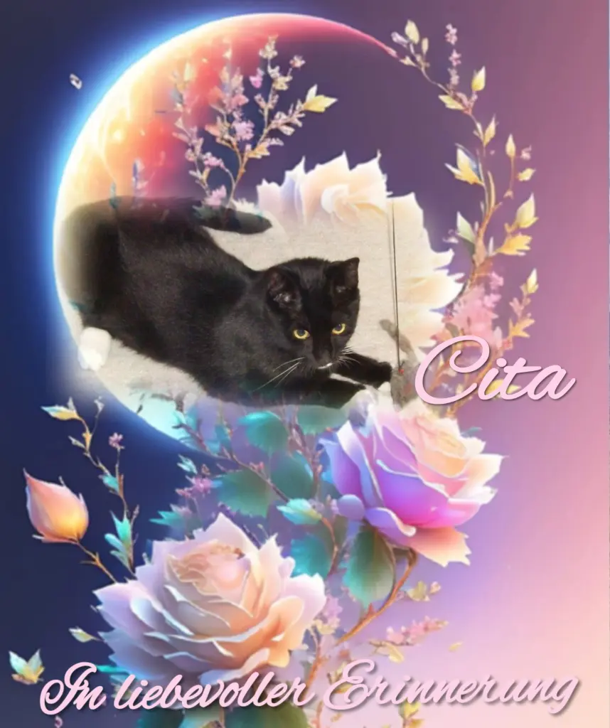 Andachtsbild von 12 Monate.... Sehnsucht❤️