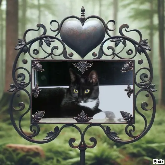 Andachtsbild von Tanja mit Timmy im Herzen