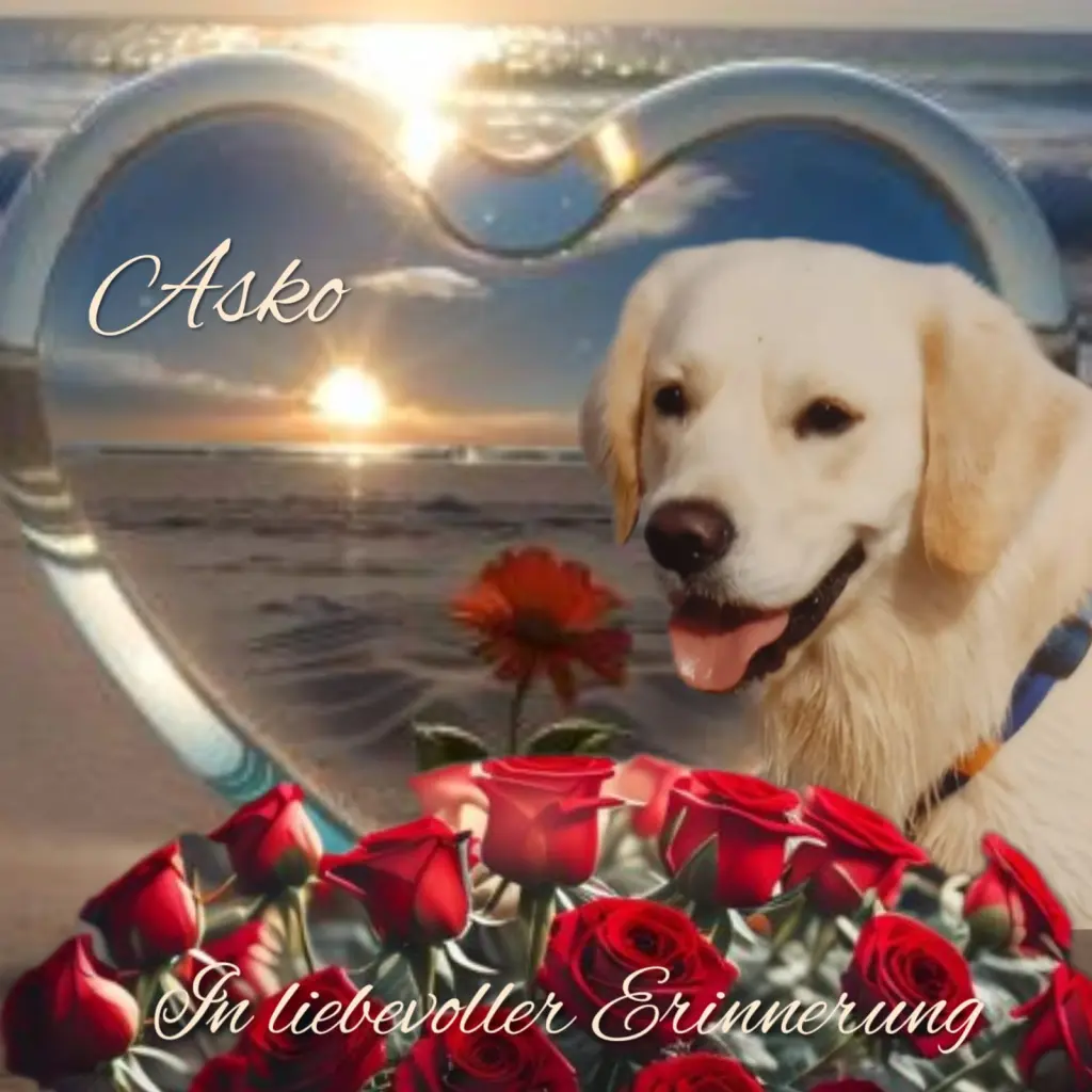 Andachtsbild von Claudia mit ASKO❤️ 