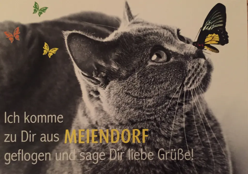 Andachtsbild von Wieder zurück❣️❣️❣️