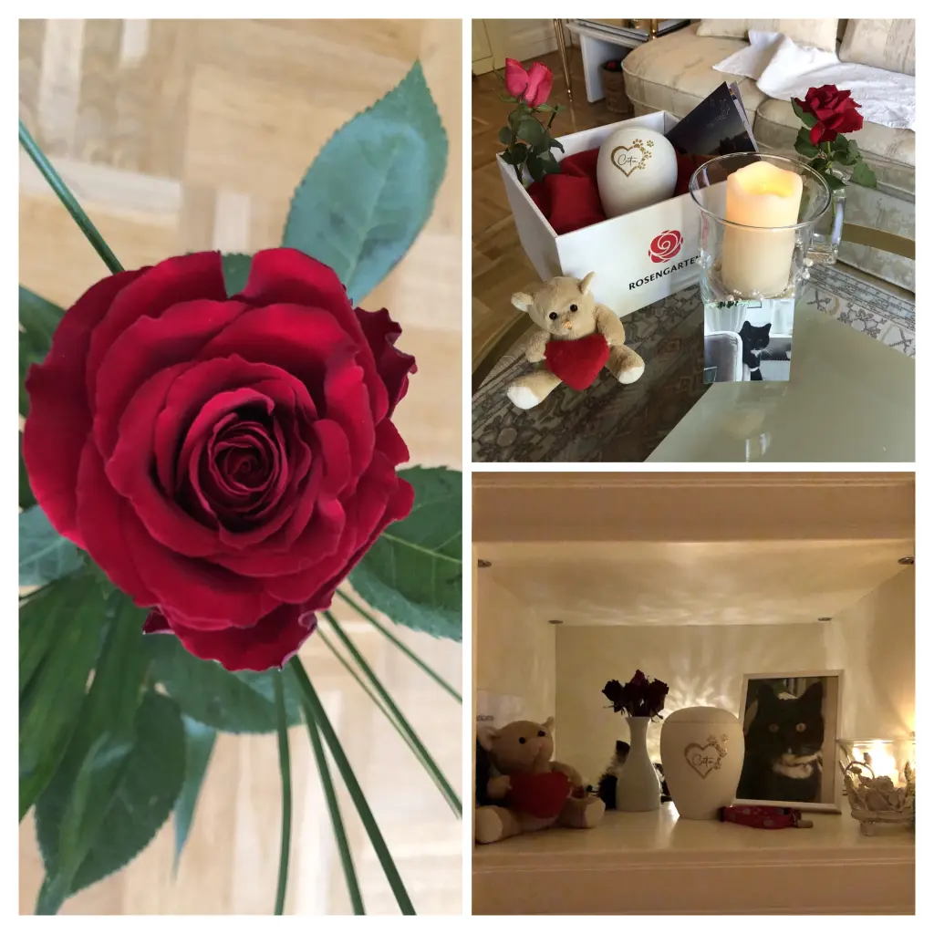 Andachtsbild von Mama❤️