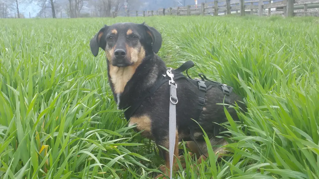 Andachtsbild von Für Cita❤️