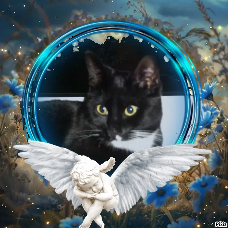 Andachtsbild von Tanja mit Timmy im Herzen 