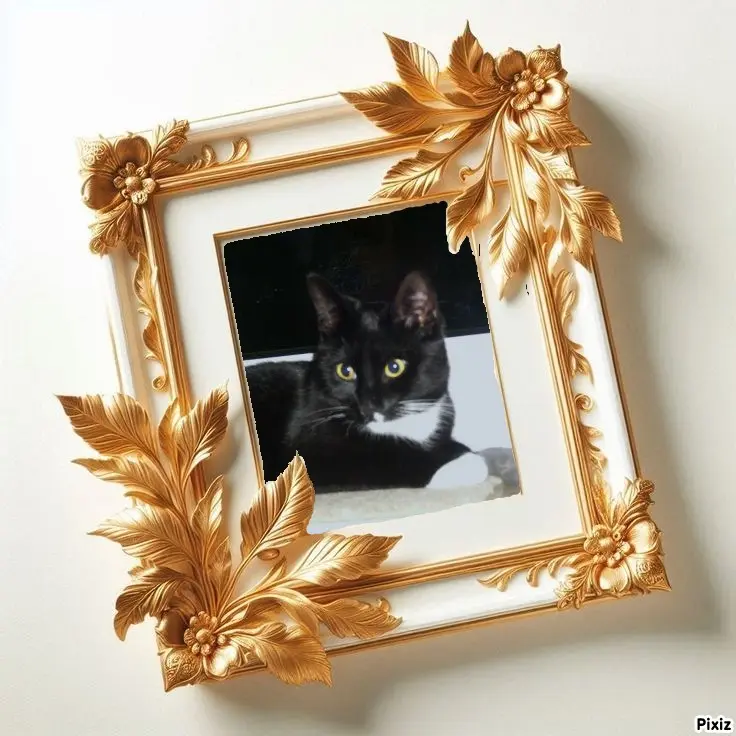 Andachtsbild von Tanja mit Timmy im Herzen 