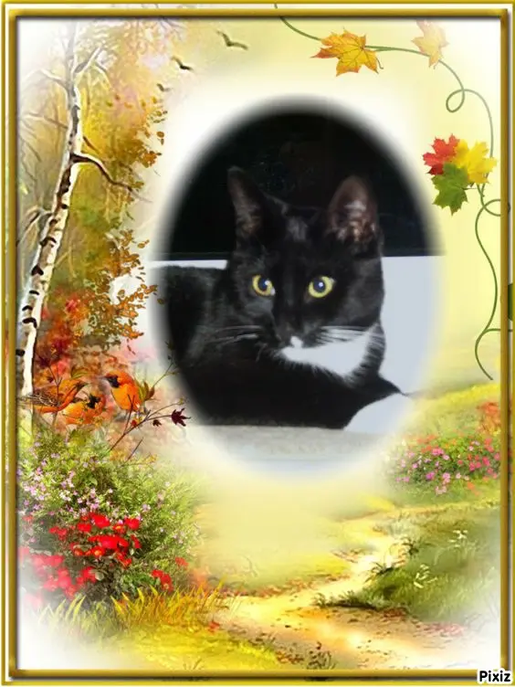 Andachtsbild von Tanja mit Timmy im Herzen 