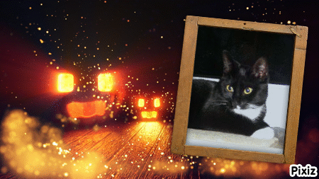 Andachtsbild von Tanja mit Timmy im Herzen 