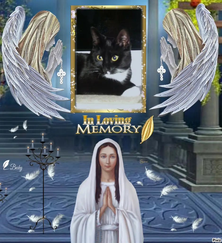 Andachtsbild von Tanja mit Timmy im Herzen 