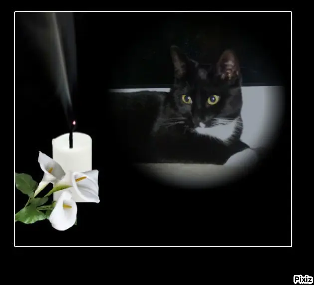 Andachtsbild von Tanja mit Timmy im Herzen 