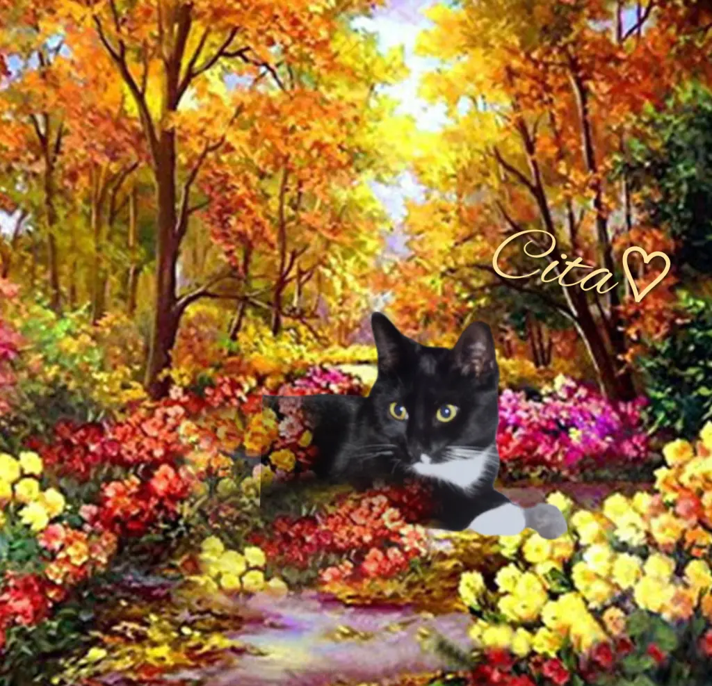 Andachtsbild von Gaby mit Snowy im Herzen♡ 