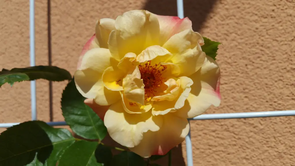 Andachtsbild von Für Cita❤️