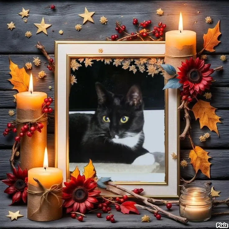 Andachtsbild von Tanja mit Timmy im Herzen 