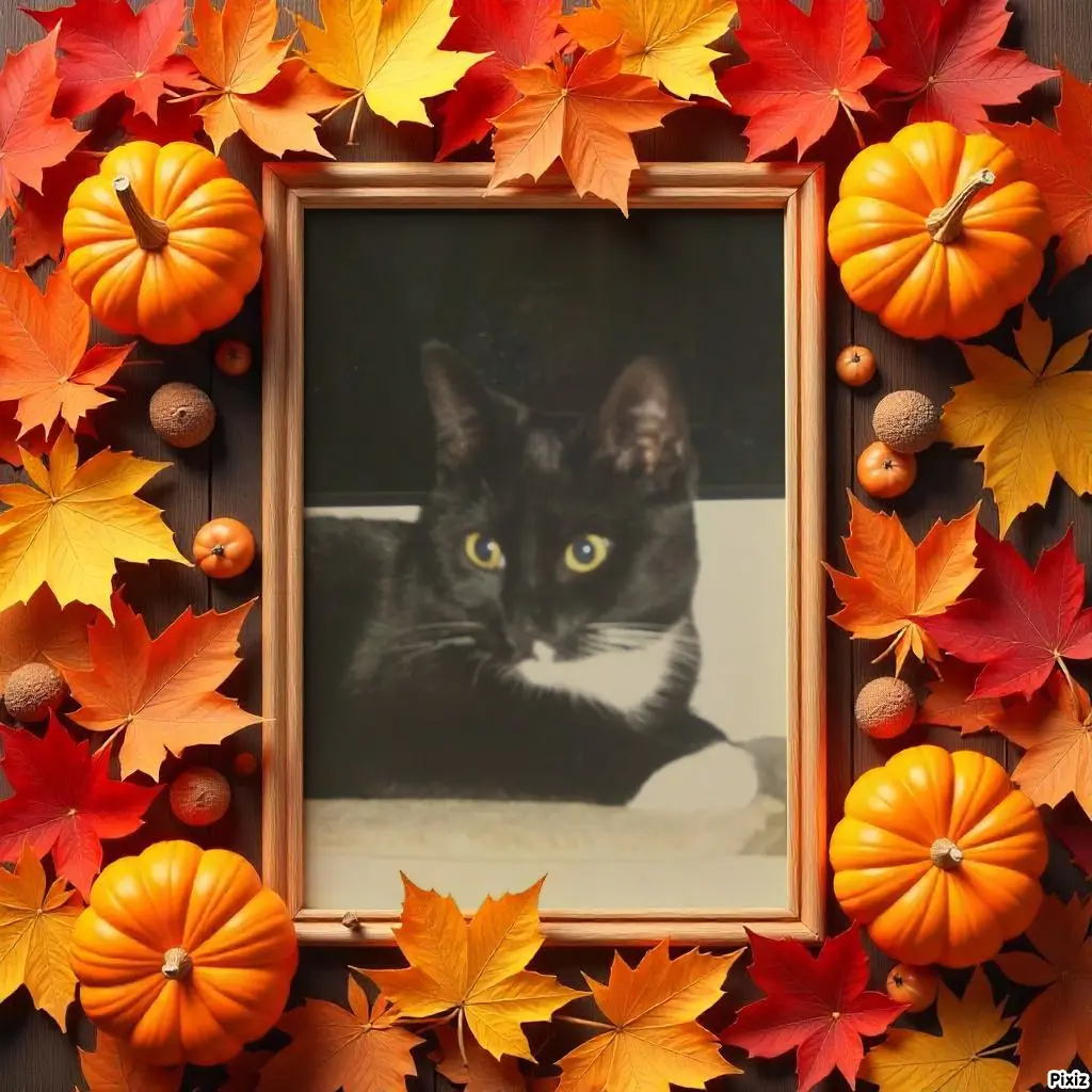 Andachtsbild von Tanja mit Timmy im Herzen 