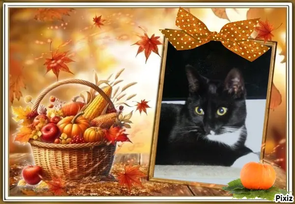 Andachtsbild von Tanja mit Timmy im Herzen 