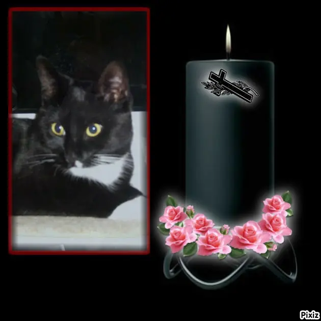 Andachtsbild von Tanja mit Timmy im Herzen 