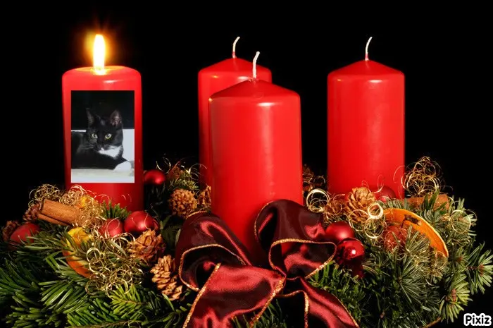 Andachtsbild von Tanja mit Timmy im Herzen 