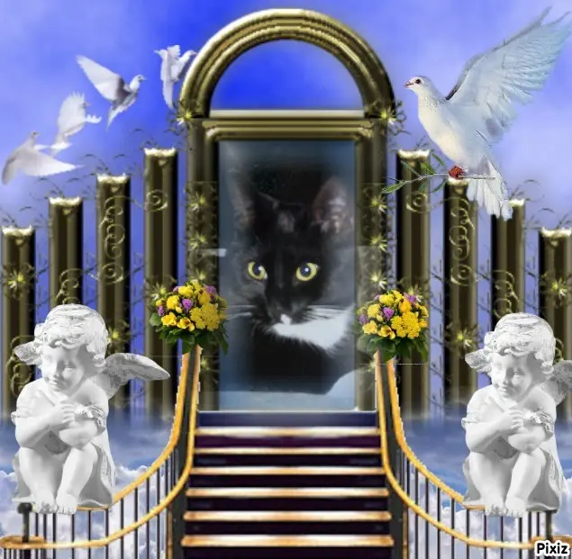 Andachtsbild von Tanja mit Timmy im Herzen 