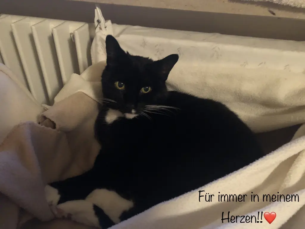 Andachtsbild von ❤️Mama❤️