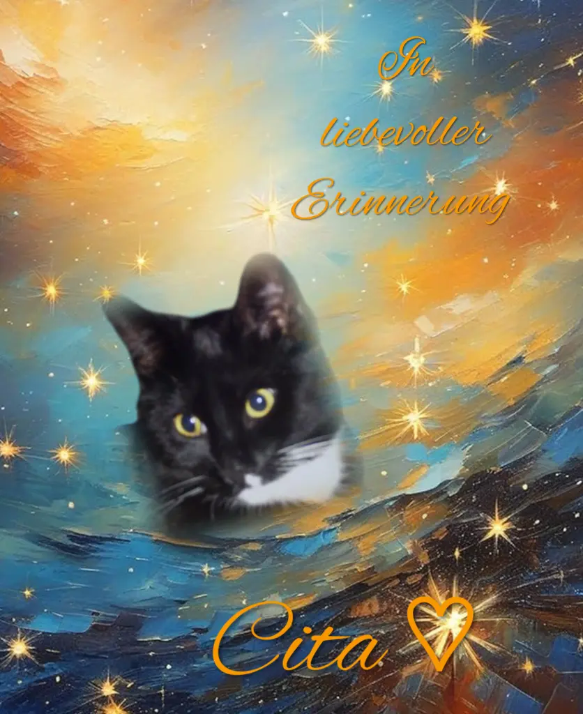 Andachtsbild von Gaby mit Snowy im Herzen♡ 