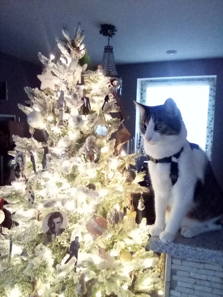 Andachtsbild von Beate mit Elvis im Herzen ❤