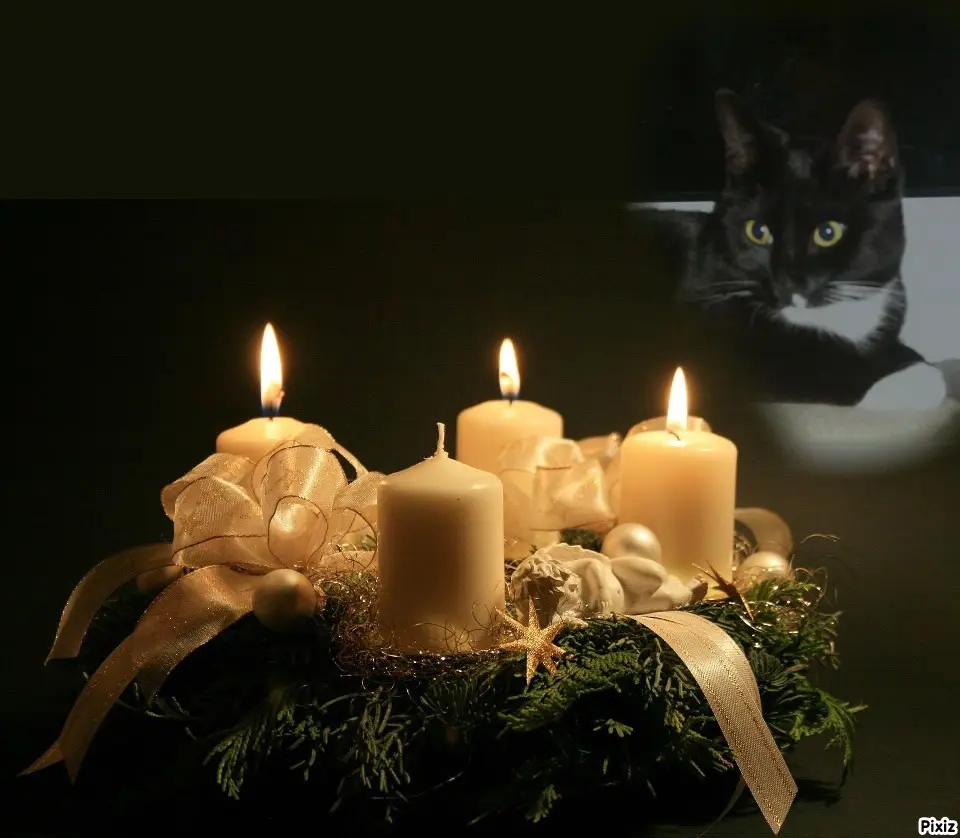 Andachtsbild von Tanja mit Timmy im Herzen 