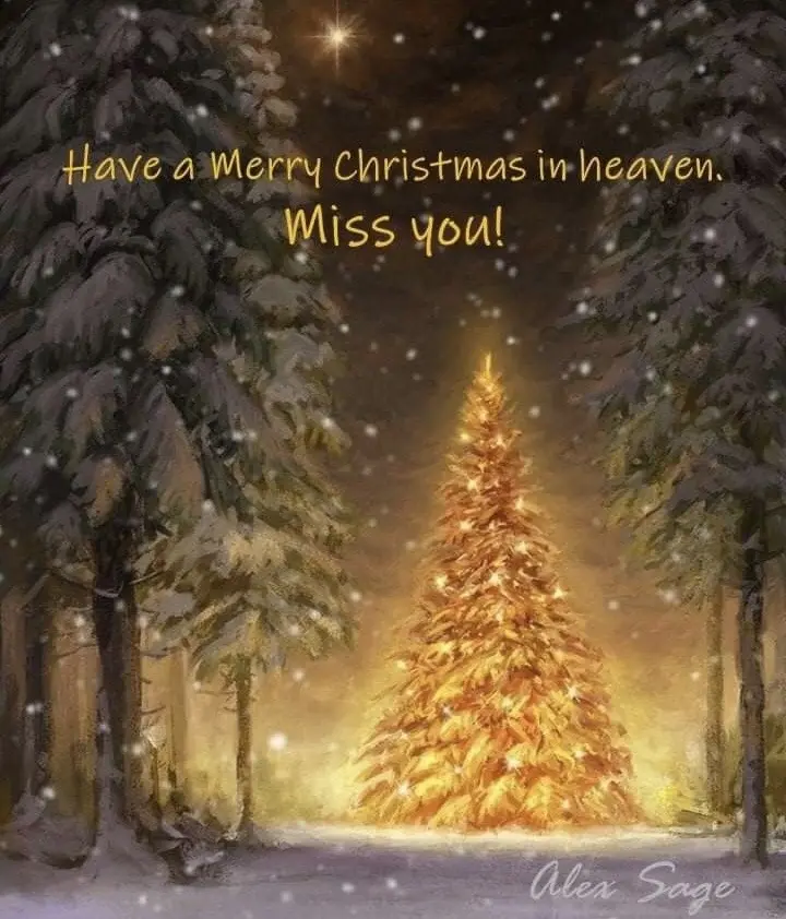 Andachtsbild von ⭐️ Weihnachtsgrüße ins Regenbogenland ⭐️