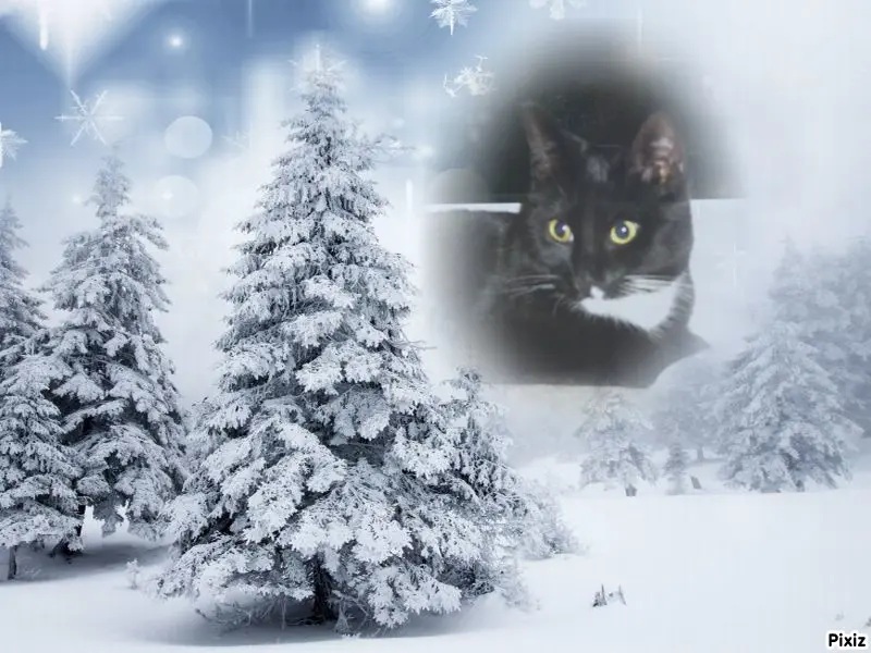 Andachtsbild von Tanja mit Timmy im Herzen 