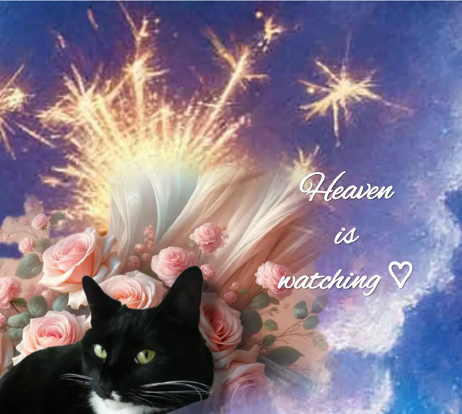 Andachtsbild von ♡Herzen♡