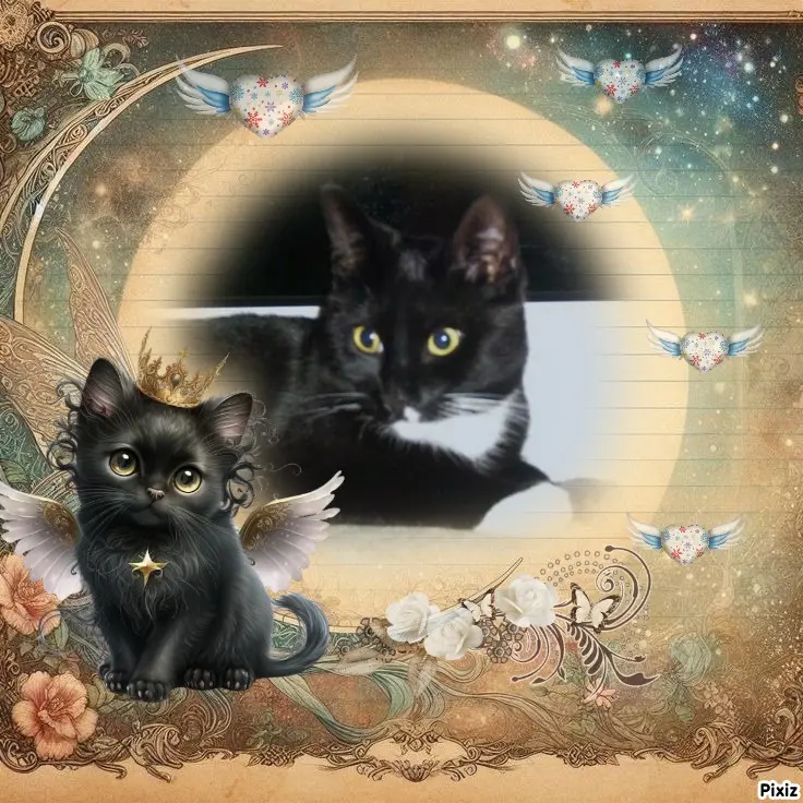 Andachtsbild von Tanja mit Timmy im Herzen 