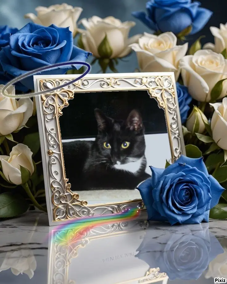 Andachtsbild von Tanja mit Timmy im Herzen 