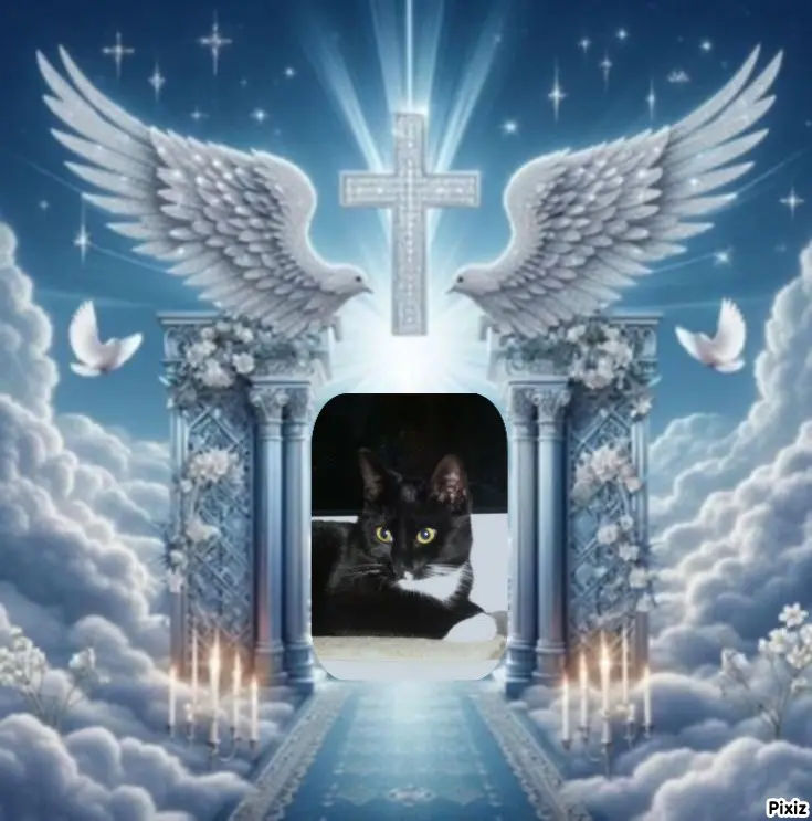 Andachtsbild von Tanja mit Timmy im Herzen 