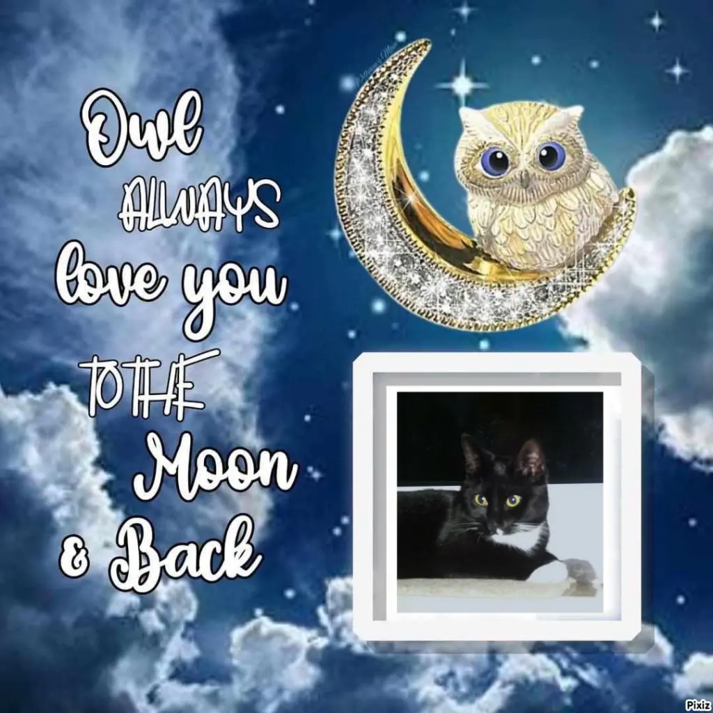 Andachtsbild von Tanja mit Timmy im Herzen 