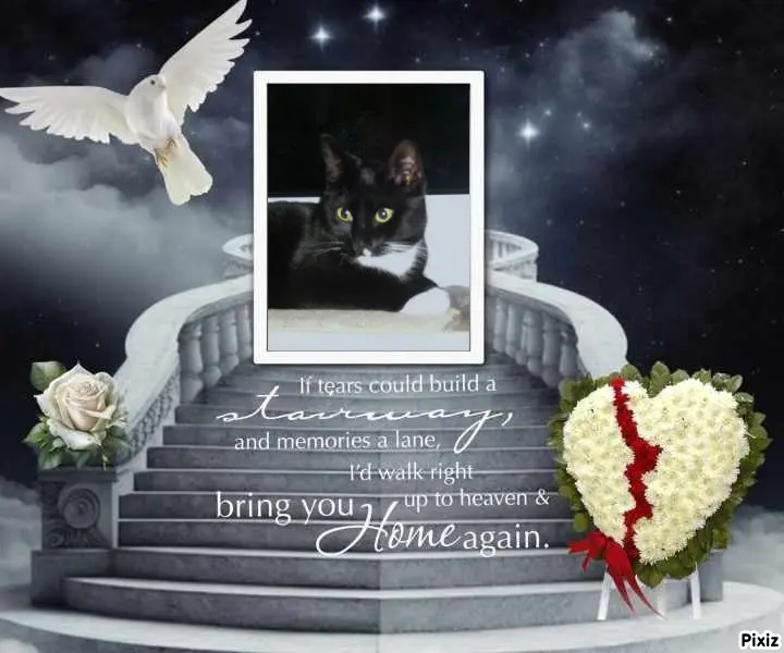 Andachtsbild von Tanja mit Timmy im Herzen 