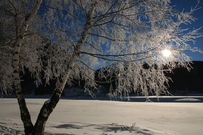 Andachtsbild von Wochenendgrüsse♥️