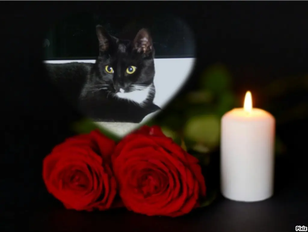 Andachtsbild von Tanja mit Timmy im Herzen 