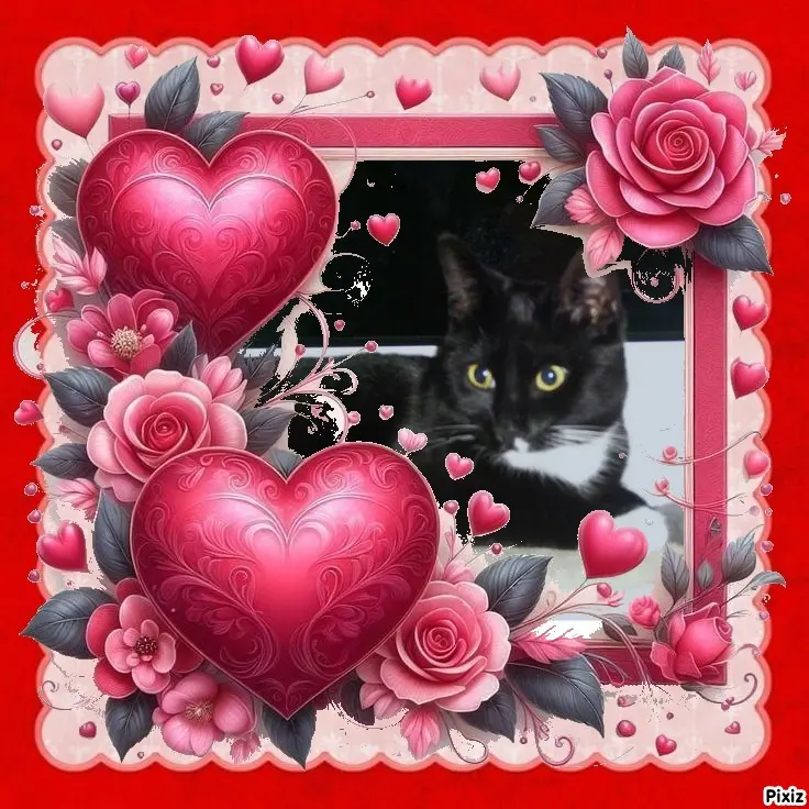 Andachtsbild von Tanja mit Timmy im Herzen 