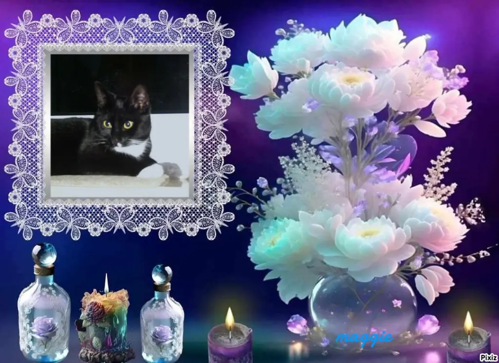 Andachtsbild von Tanja mit Timmy im Herzen 