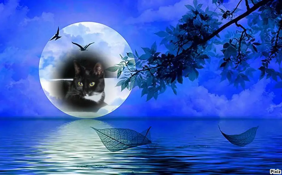 Andachtsbild von Tanja mit Timmy im Herzen 