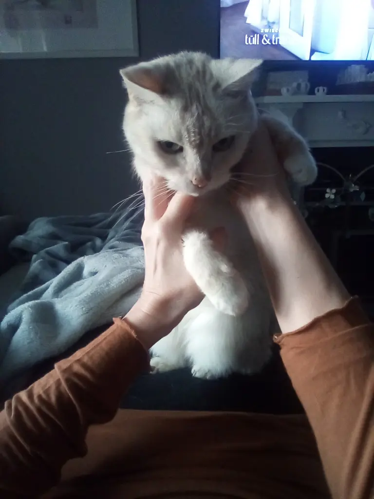 Andachtsbild von Beate mit Elvis im Herzen ❤