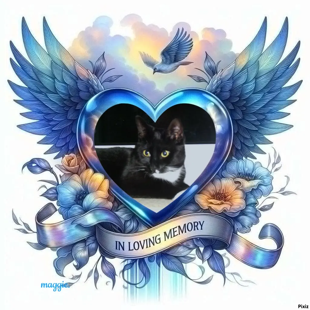 Andachtsbild von Tanja mit Timmy im Herzen 