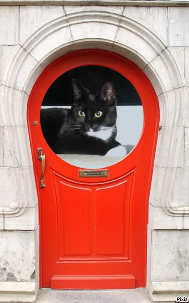 Andachtsbild von Tanja mit Timmy im Herzen 