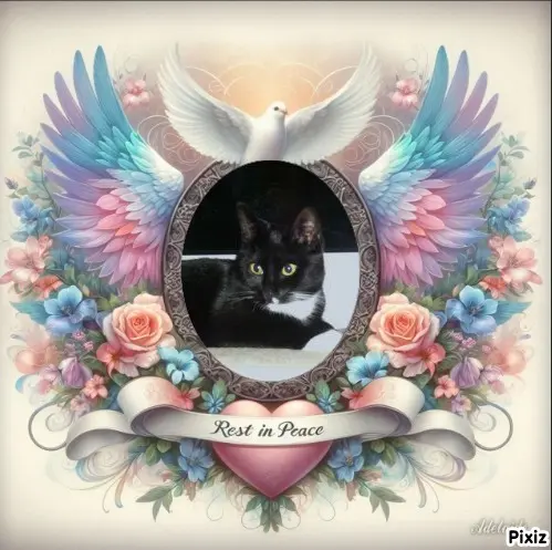 Andachtsbild von Tanja mit Timmy im Herzen 