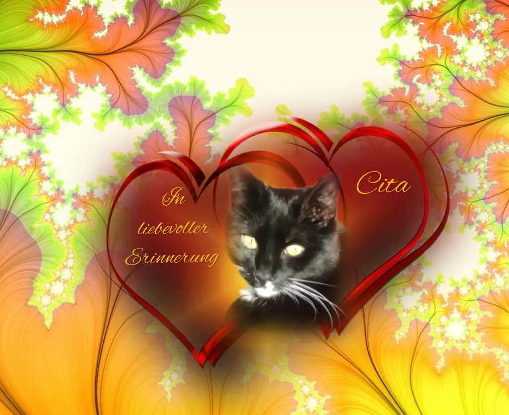 Andachtsbild von ♡Herzen♡