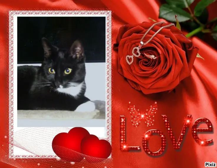 Andachtsbild von Tanja mit Timmy im Herzen 