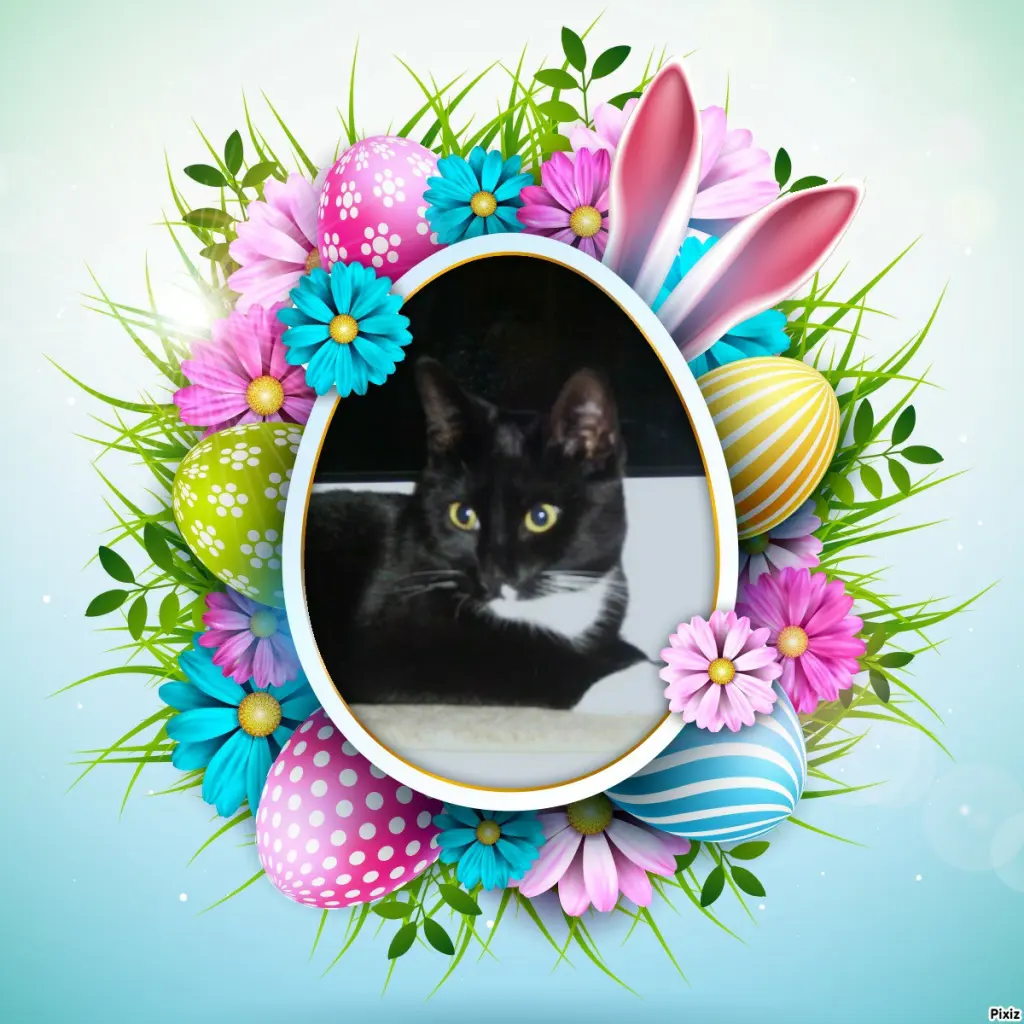 Andachtsbild von Tanja mit Timmy im Herzen 