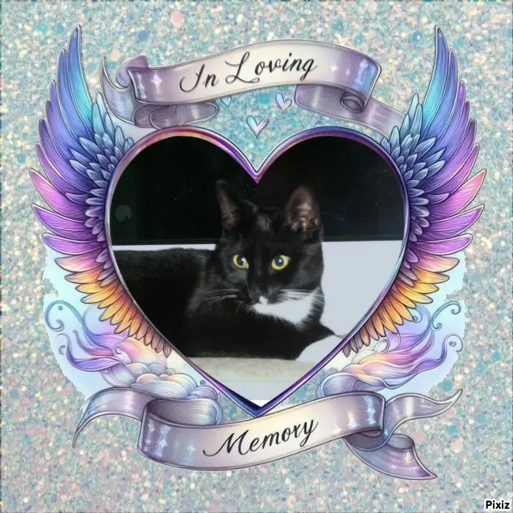 Andachtsbild von Tanja mit Timmy im Herzen 