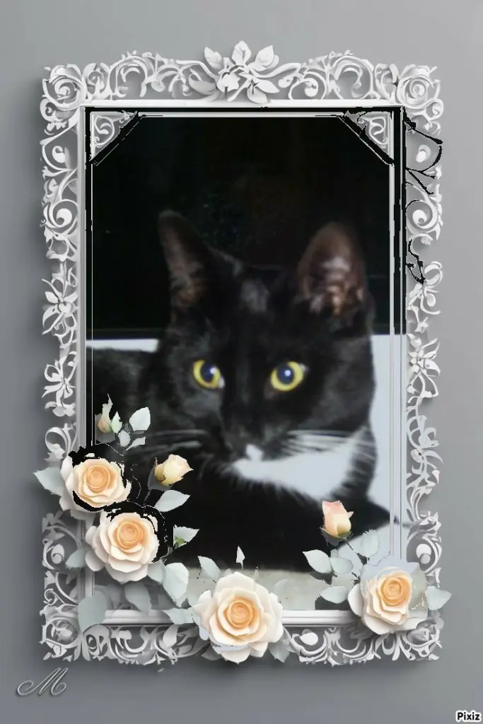 Andachtsbild von Tanja mit Timmy im Herzen 