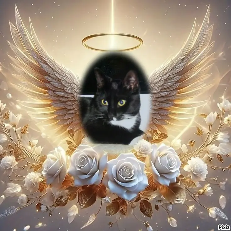 Andachtsbild von Tanja mit Timmy im Herzen 